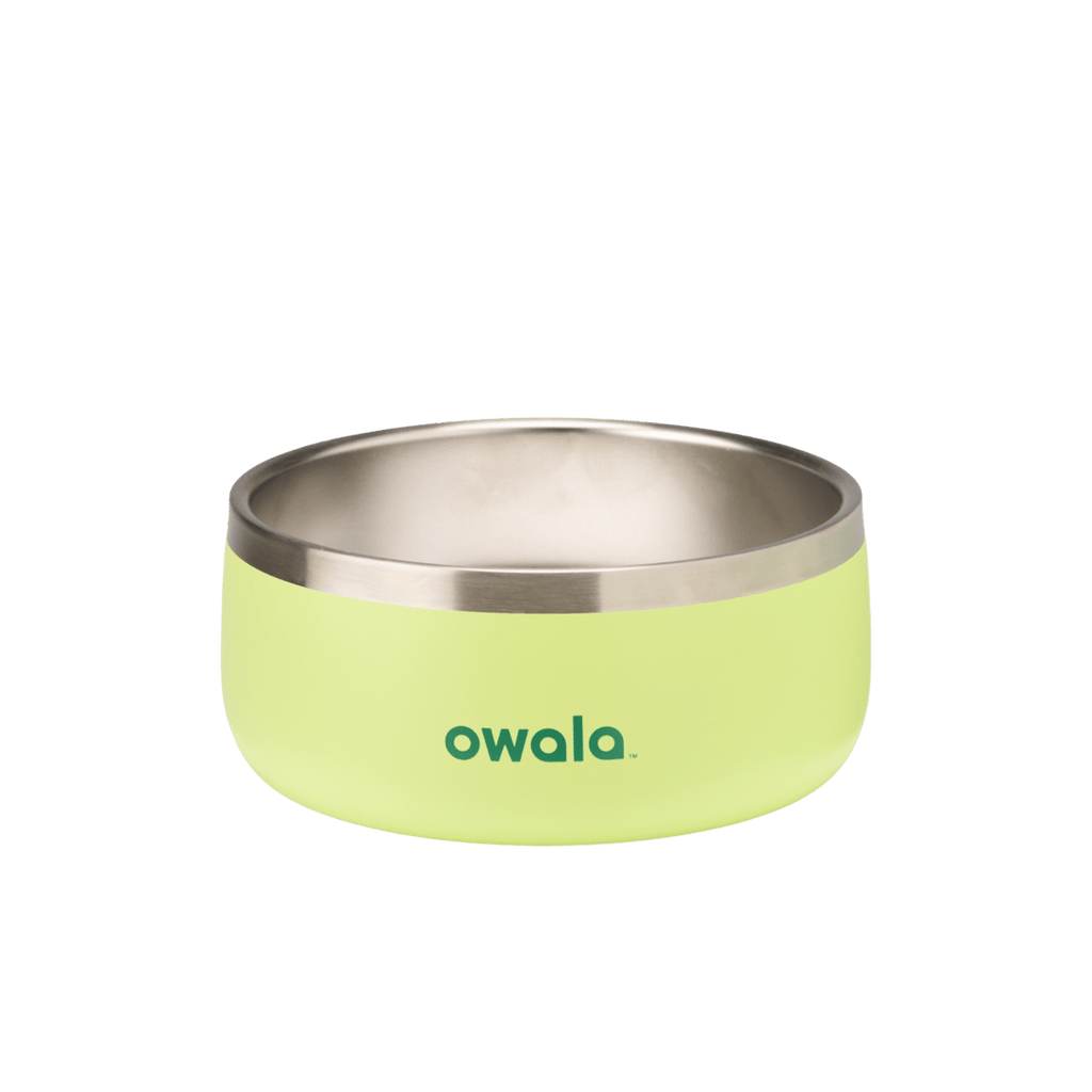 FreeSip + Pet Bowl Bundle